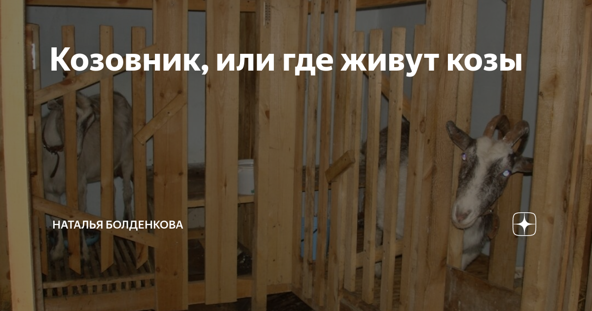 Козовник, или где живут козы | Наталья Болденкова | Дзен