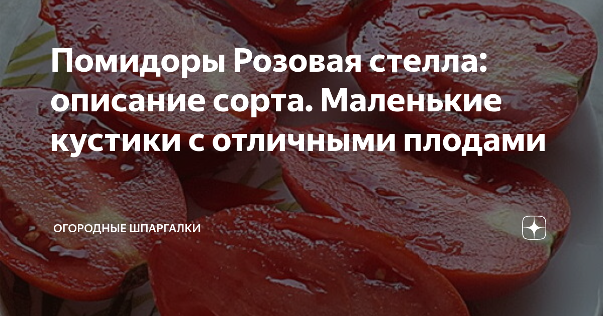 Семена Томатов Розовая Стелла низкорослые Сибирский сад 39159370 купить в интерн