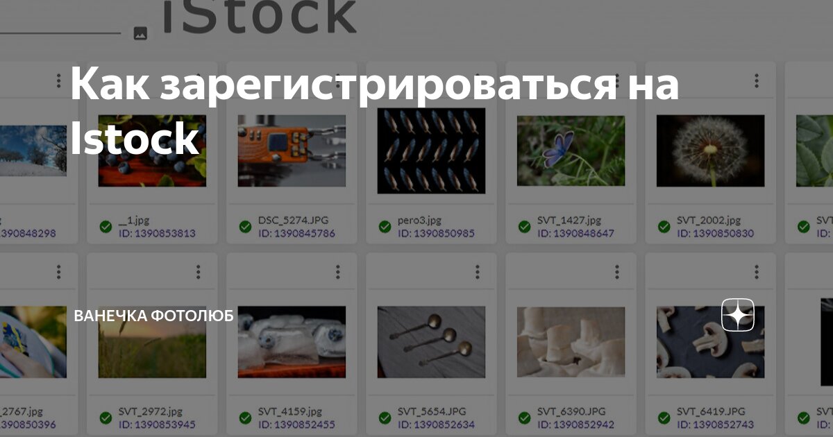 Как зарегистрироваться на Istock | Ванечка фотолюб | Дзен