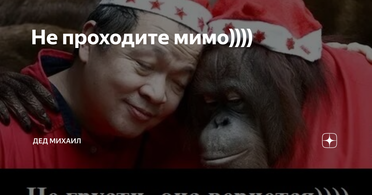 Шел по лесу дед мороз мимо. Дед мимо. Стих шёл по лесу дед мороз мимо клёнов и берёз. Дед мимо. Дед мимо.