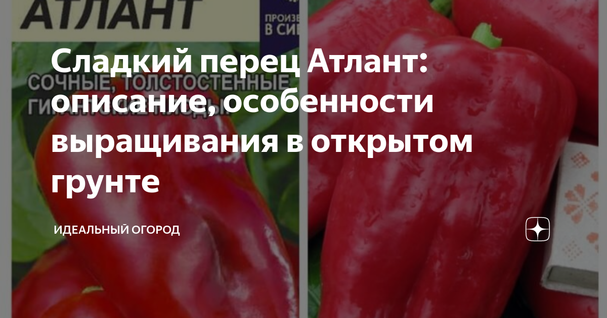 Перец сладкий Атлант 20шт в Комсомольске-на-Амуре Семена перца. Товары для сада 