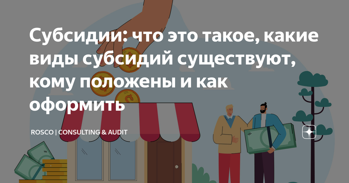 Субсидии: что это такое, какие виды субсидий существуют, кому положены и  как оформить | RosCo | Consulting & audit | Дзен