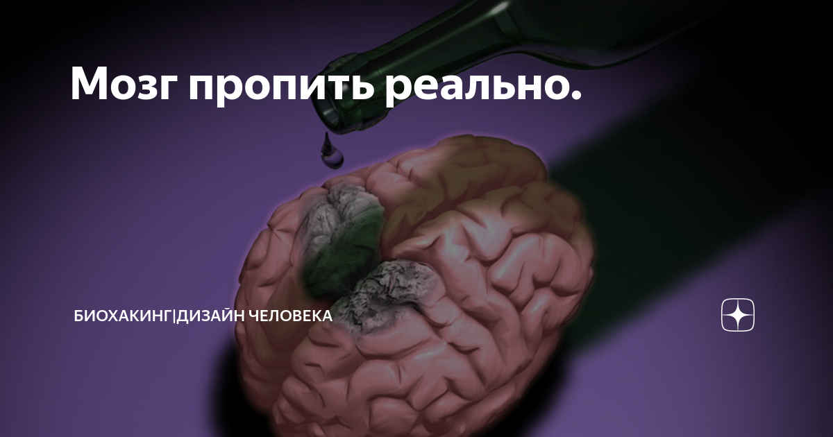 мозг человека алкоголика. пропитые мозги. мозг здорового человека и пьющего. головной мозг здорового человека и алкоголика. пропитые мозги.