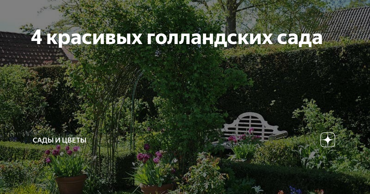4 красивых голландских сада | Сады и цветы | Дзен