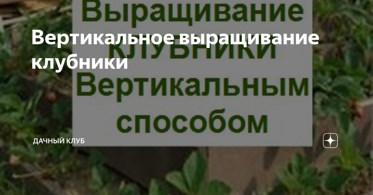 Вертикальные грядки для клубники: преимущества,рекомендации по обустройству своими руками, видео