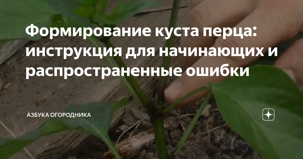 Перцев инструкция