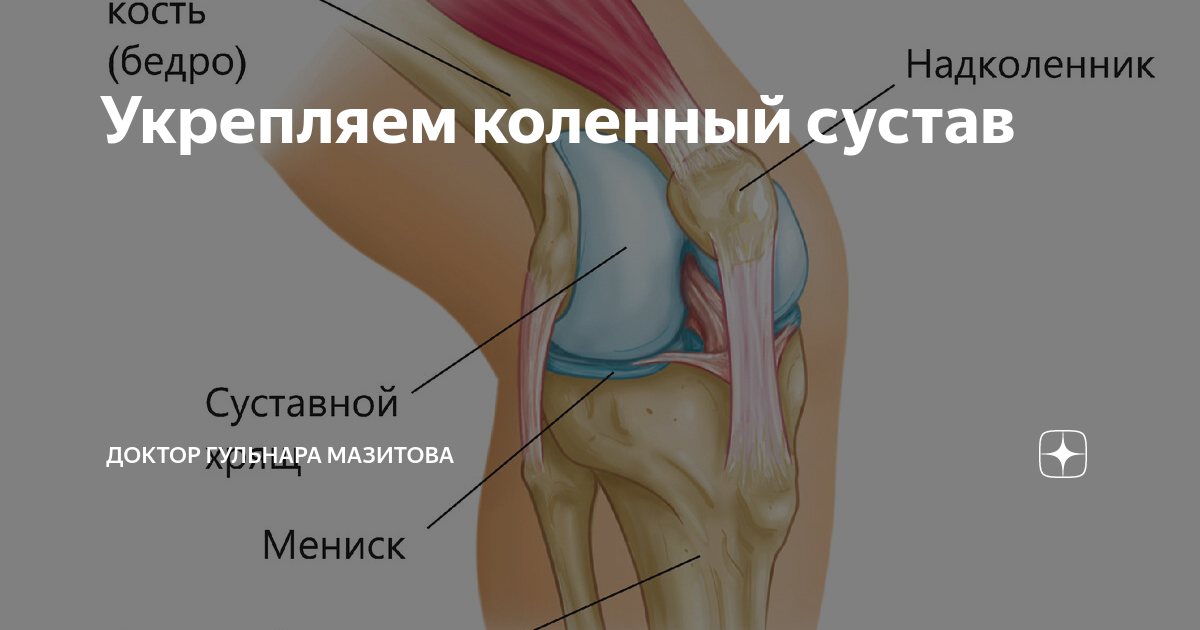 фиксатор реконструктивный endobutton cl ultra, 15 мм. эндопротез коленного сустава stryker. стабильность коленного сустава. травма крестообразной связки коленного сустава. биомеханика коленного сустава.