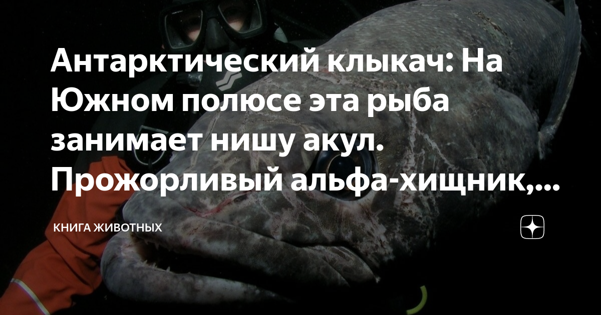 Течет антифриз на холодную
