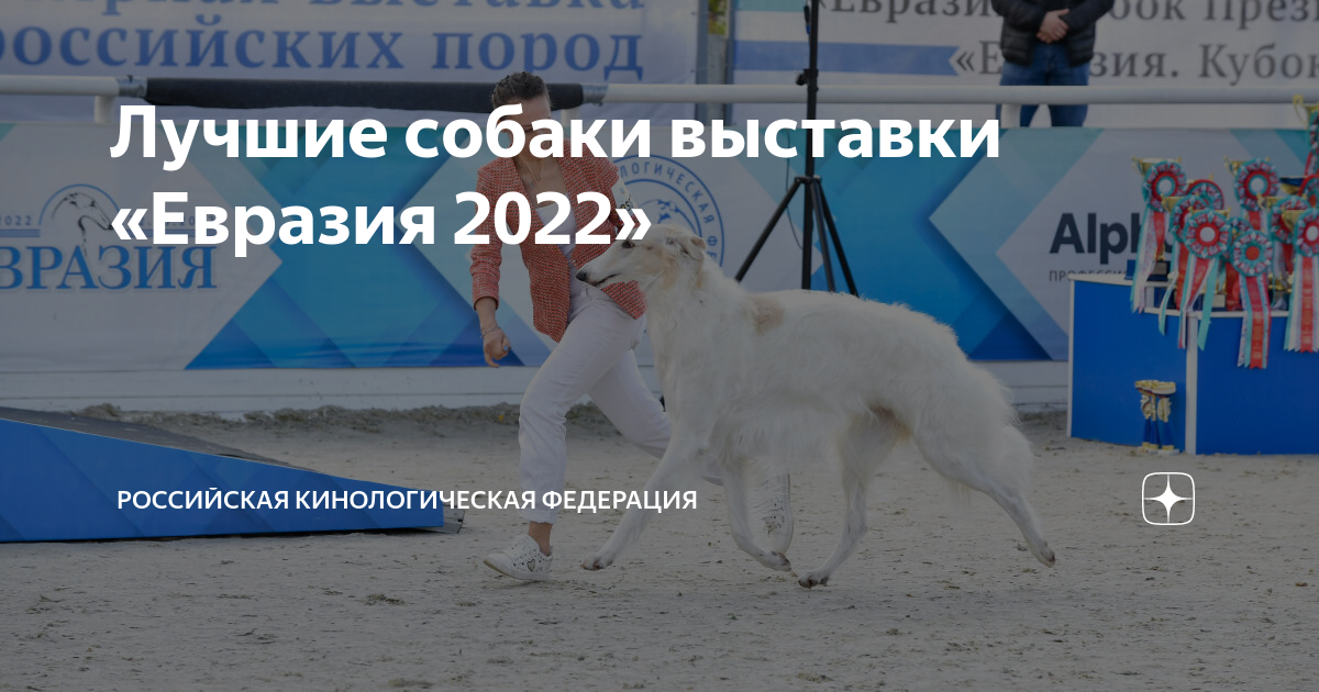 Выставка евразия 2023 ркф