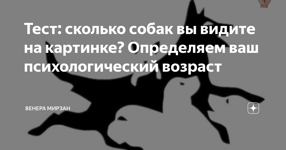 Сколько собак вы видите на картинке. Тест сколько собак на картинке. Сколько собак на картинке. Собака на картинке психологический тест.