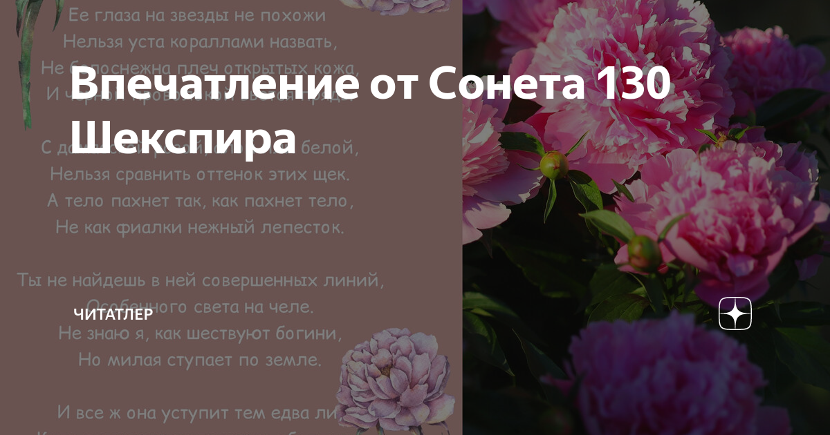 План анализа сонета. № 130 «её глаза на звёзды не похожи…» и др. Стих её глаза на звёзды не похожи. 130 сонет шекспира ее глаза на звезды не похожи. Сонет 130 оригинал.