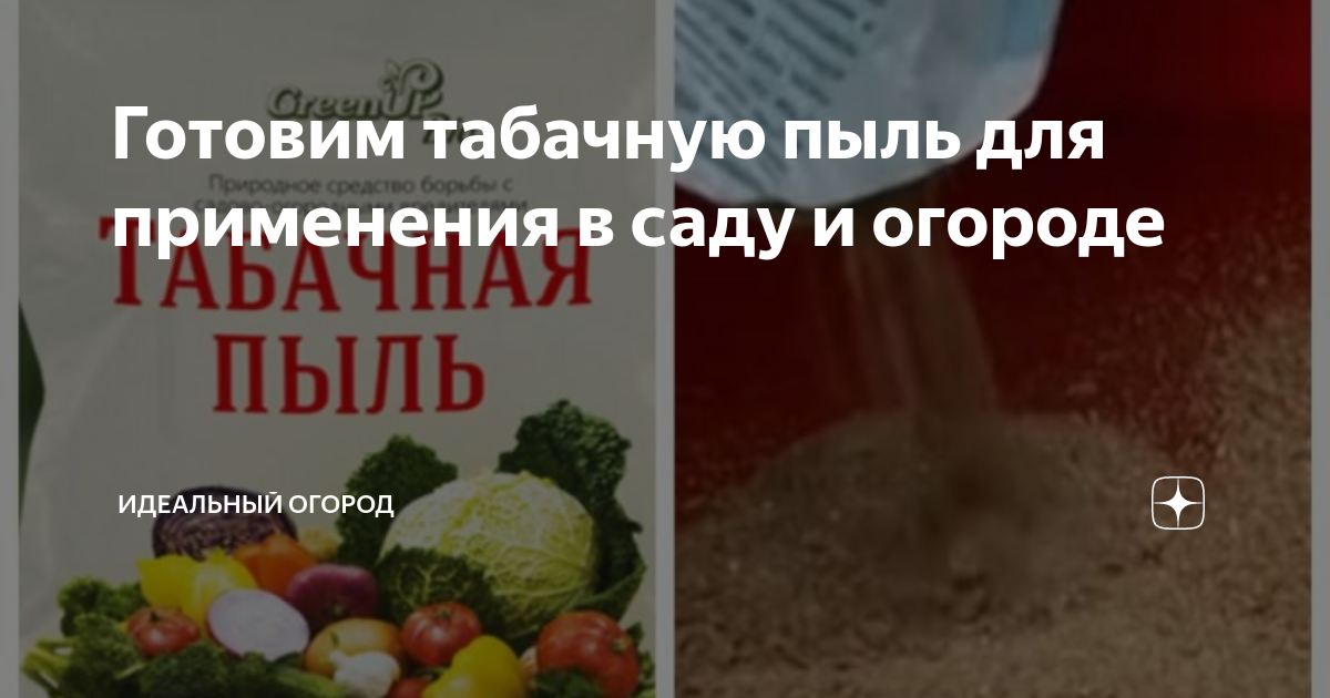 Как приготовить табачную пыль. Как приготовить табачную пыль