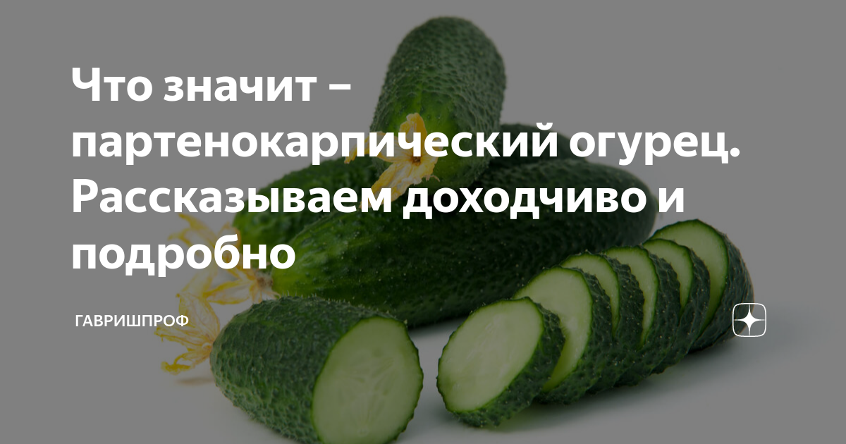 Что значит – партенокарпический огурец. Рассказываем доходчиво и ...