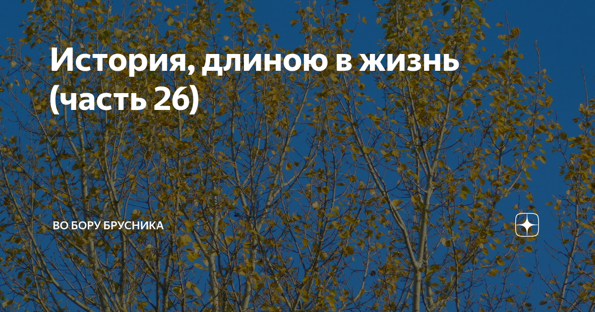 История, длиною в жизнь (часть 26) | Брусникины рассказы | Дзен