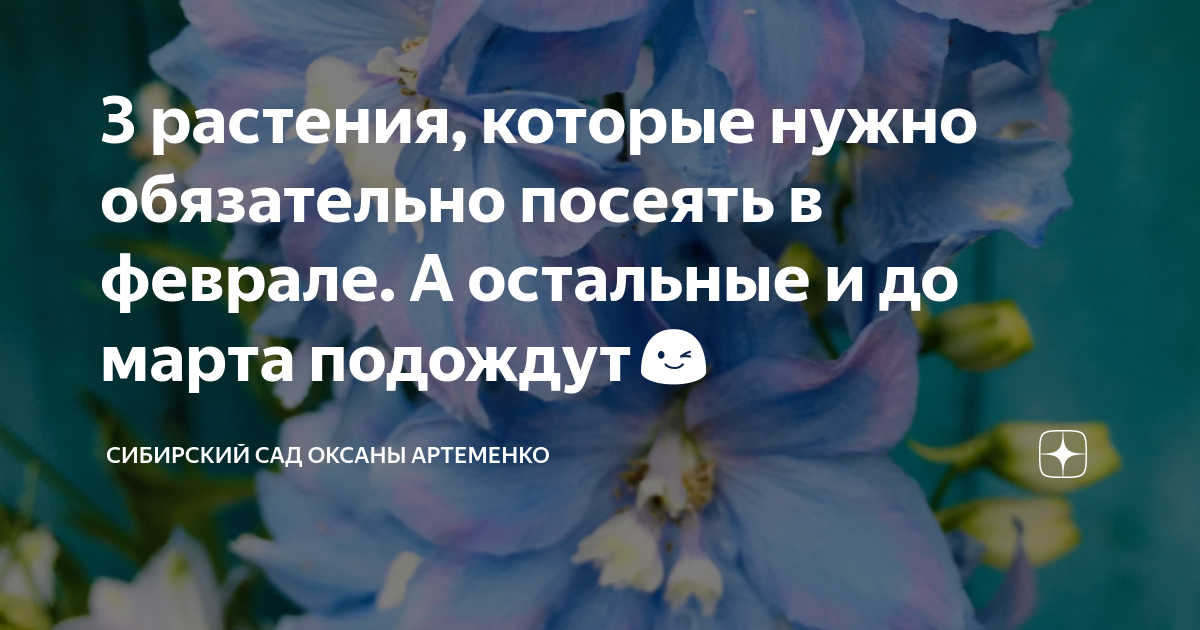 Садись роберт и пусть твои охранники подождут в коридоре