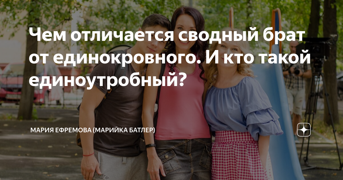 Сводная сестра это. Сводный брат это. Сводный брат и сестра. Единоутробный брат. Родные и сводные братья