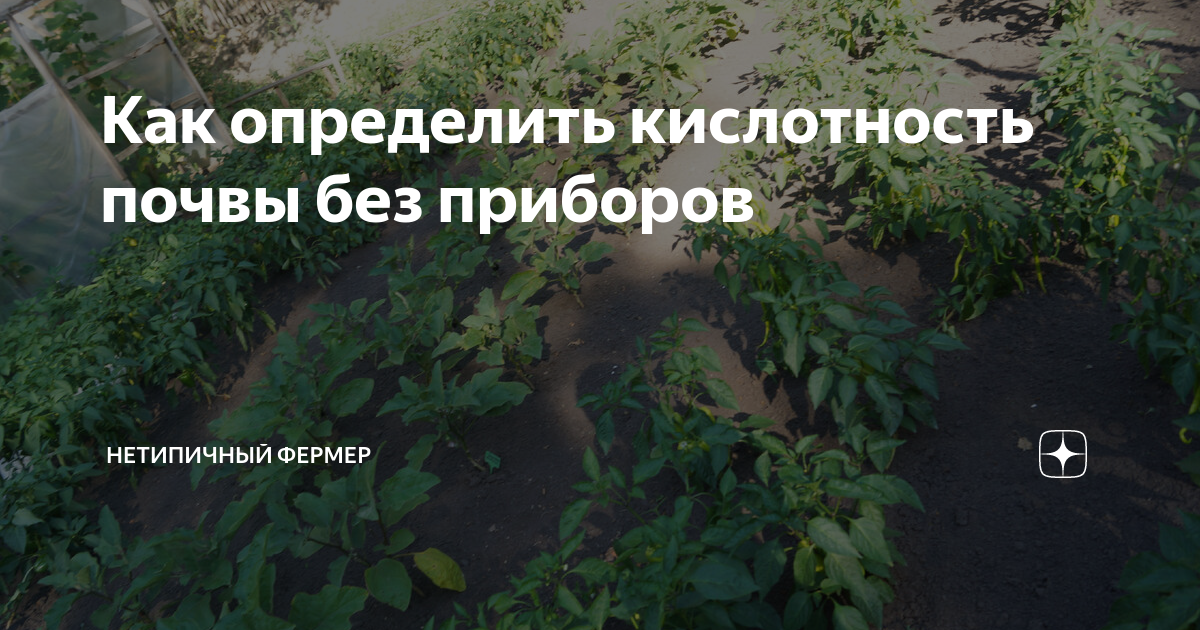 Как определить кислотность почвы без приборов | Нетипичный фермер | Дзен