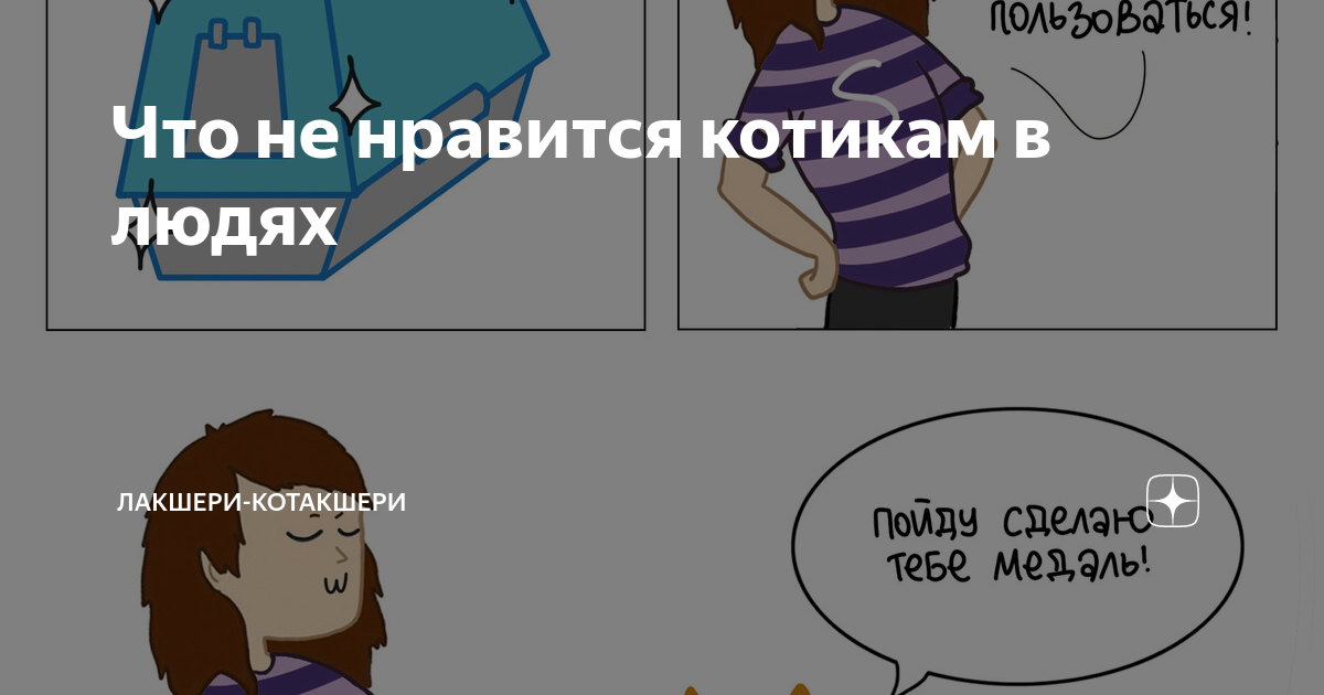 Что не нравится котикам в людях | Лакшери-Котакшери | Дзен