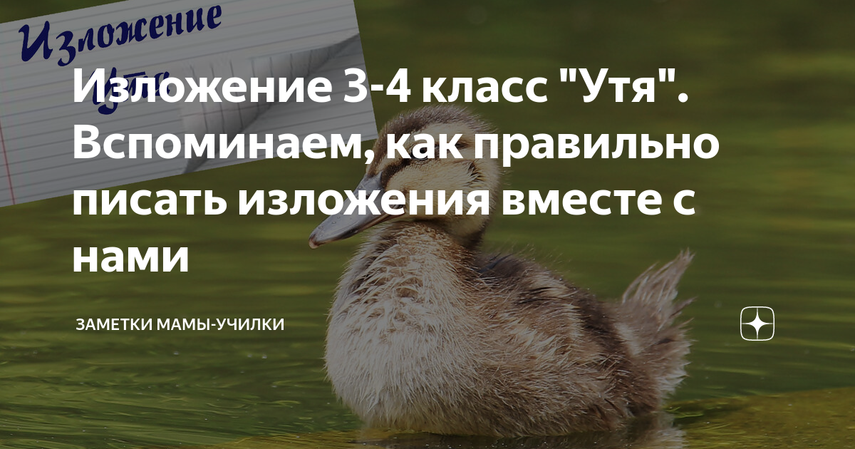 утка в соусе карри