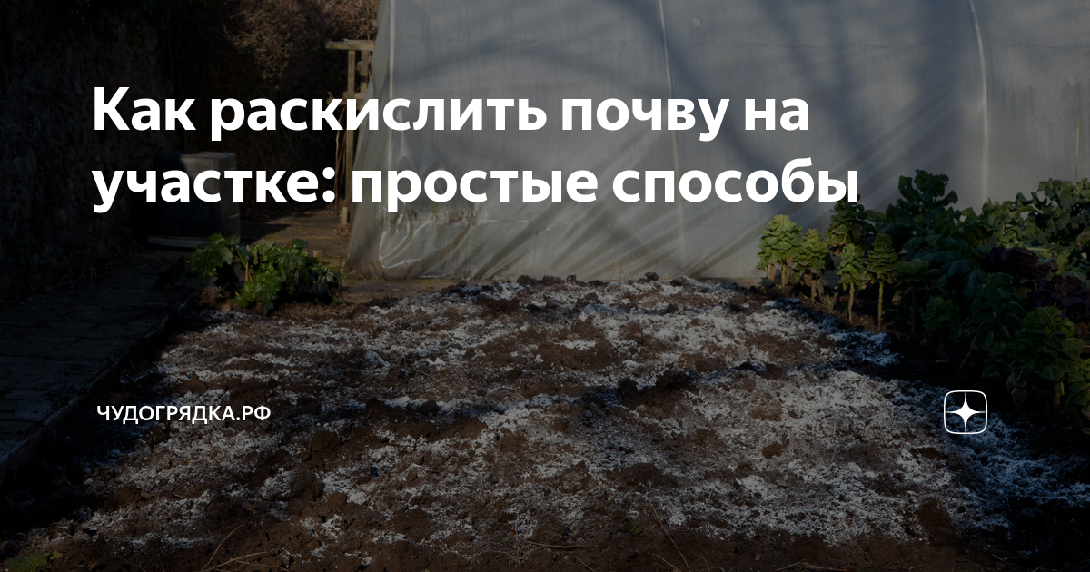 Как раскислить почву на участке: простые способы | Чудогрядка.рф | Дзен