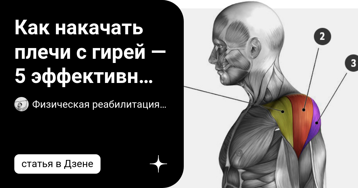 как накачать плечи