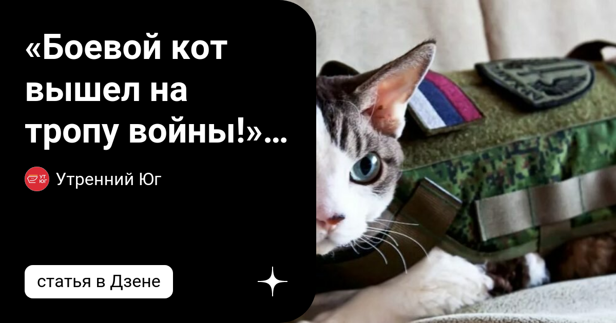 Вышел котик на тропинку