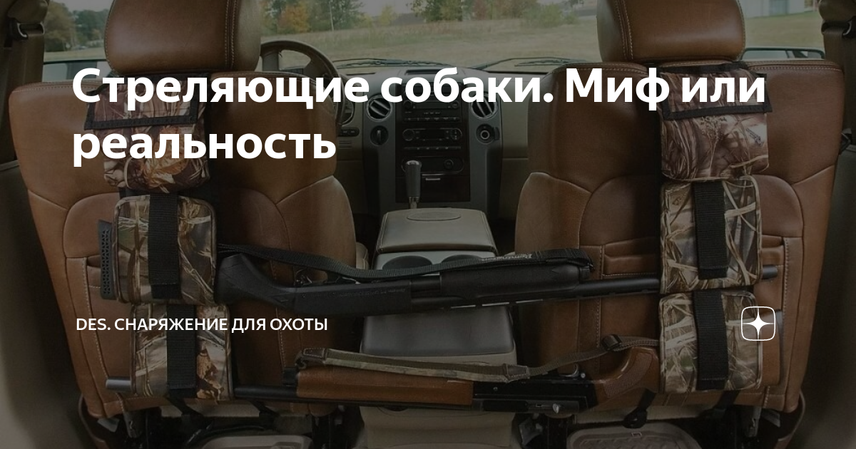 Стреляющие собаки. Миф или реальность | DES. Охота, оружие, снаряжение ...
