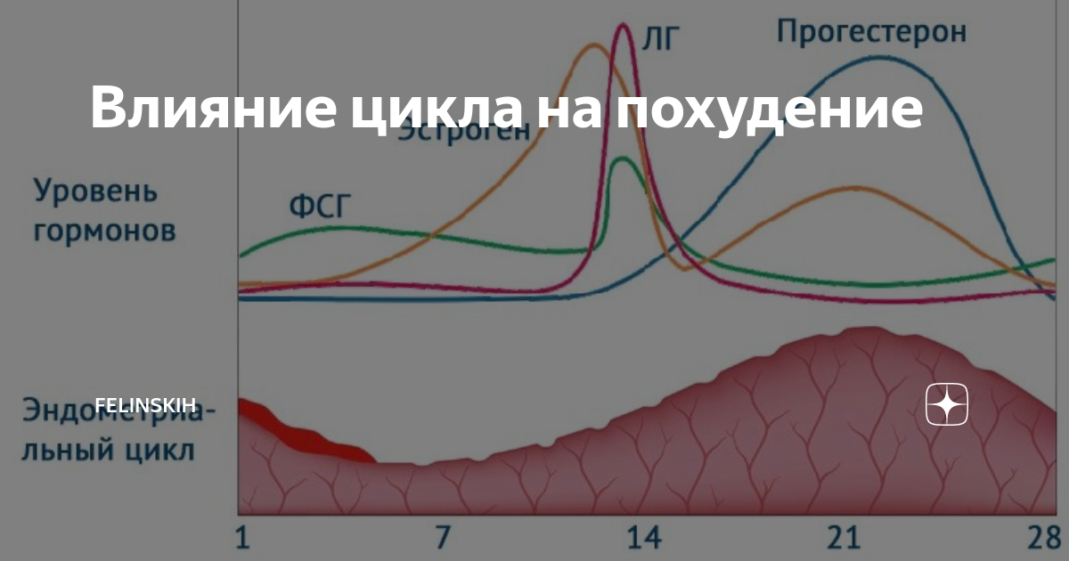 Влияние на цикл