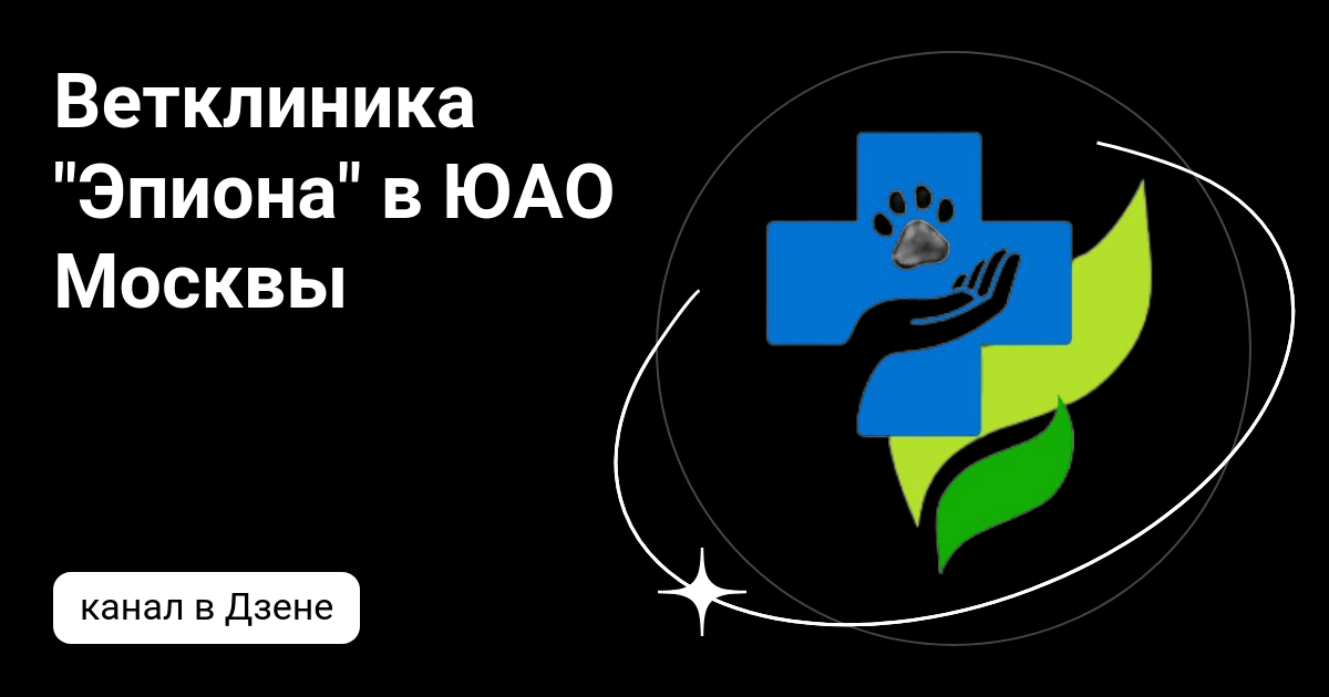 Ветклиника \"Эпиона\" в ЮАО Москвы | Дзен