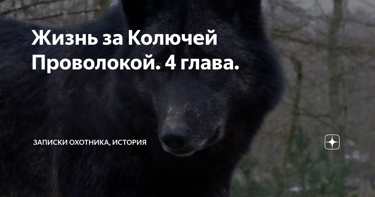 Жизнь за Колючей Проволокой. 4 глава. | Записки охотника, история | Дзен