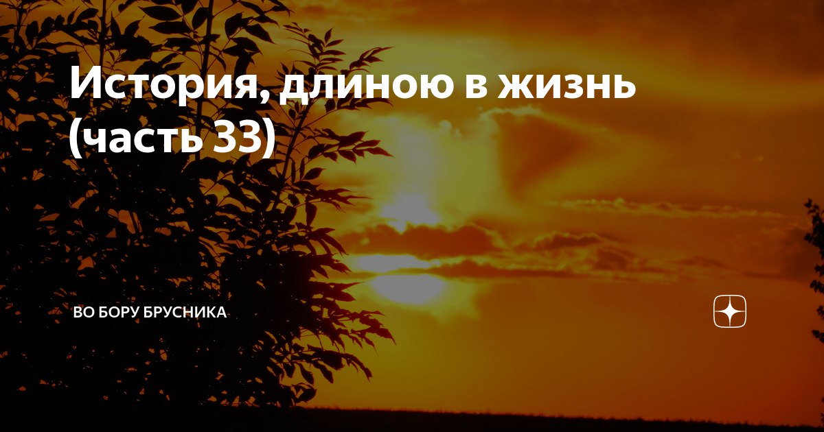 Рассказ поворот судьбы во бору брусника. Во бору брусника дзен. Рассказ поворот судьбы во бору брусника. Рассказ поворот судьбы во бору брусника. Рассказ поворот судьбы во бору брусника.