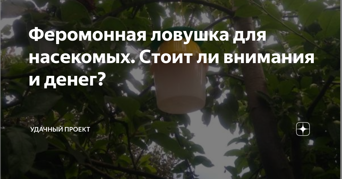 Феромонная ловушка для насекомых. Стоит ли внимания и денег? | уДачный ...