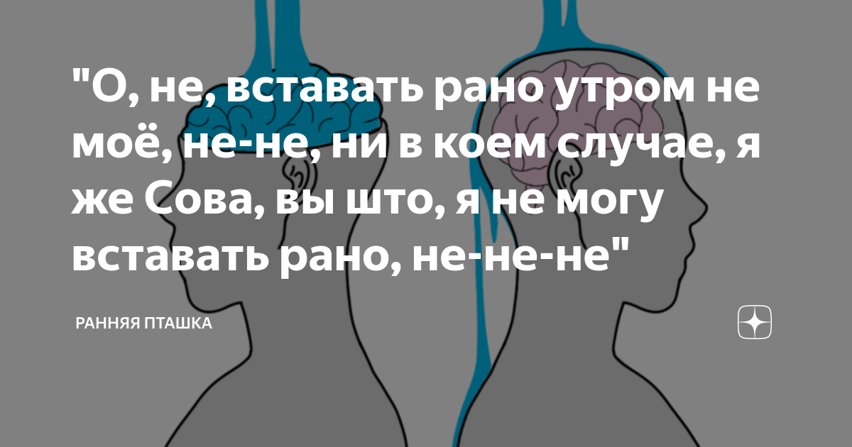 Как быстро и легко просыпаться по утрам: учимся вставать рано утром без проблем