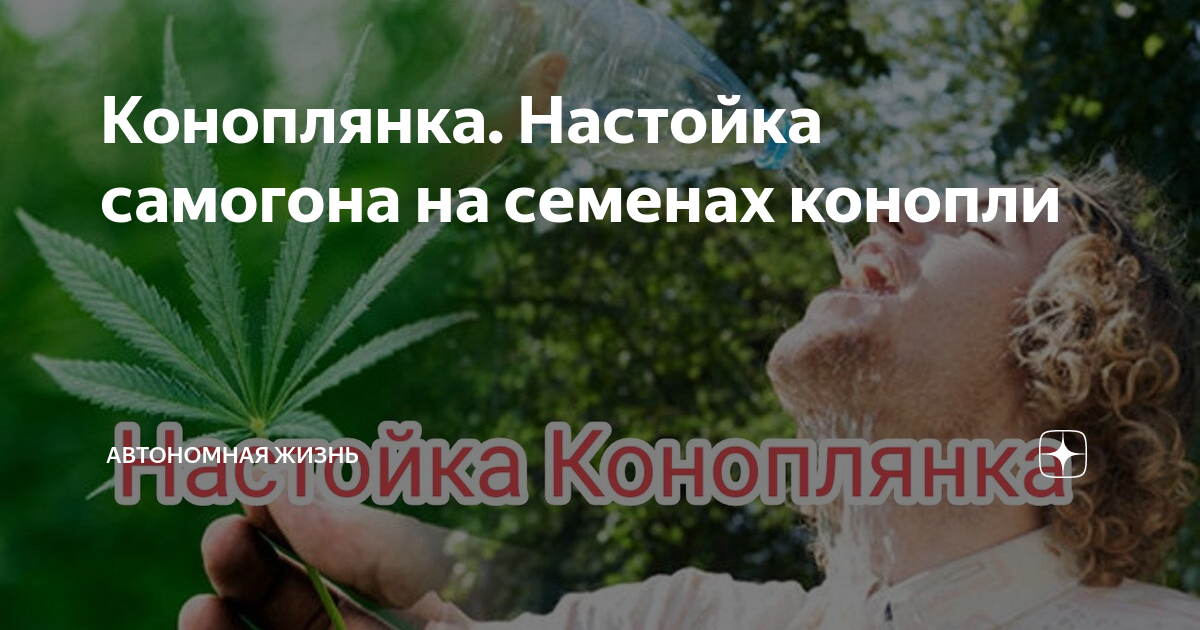 Коноплянка. Настойка самогона на семенах конопли | Автономная жизнь | Дзен