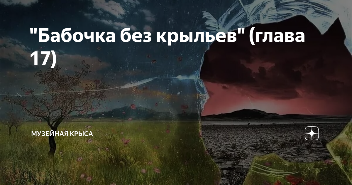 Музейная крыса дзен. Разрушение иллюзий.