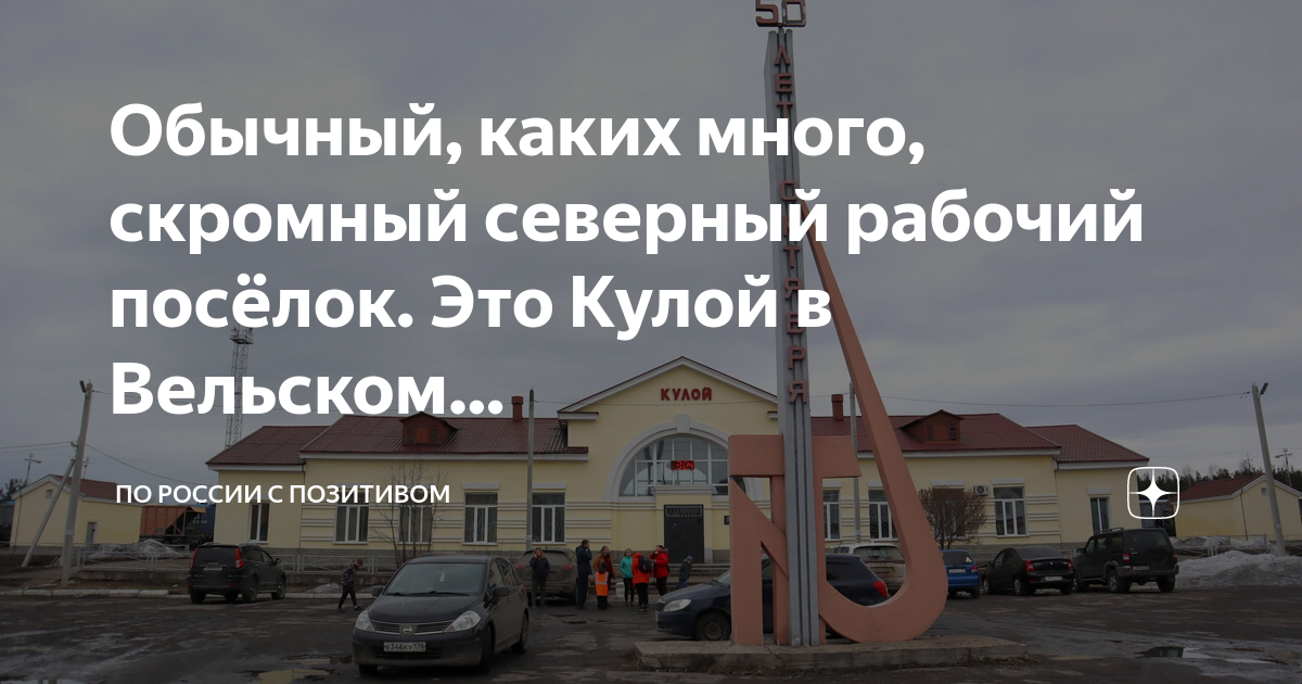 колокольчик круглолистный. пейзажная фотосъемка русский север. северный скромный. северный скромный. орнитология юга украины.