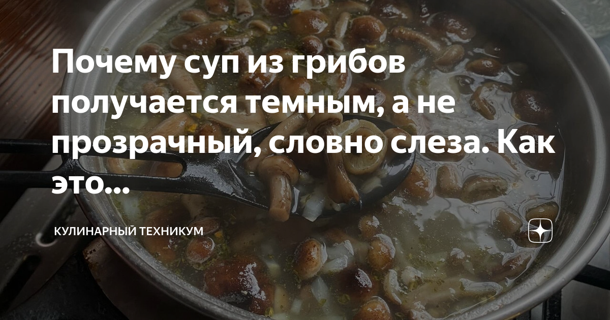 Прозрачный бульон — Cook-Talk