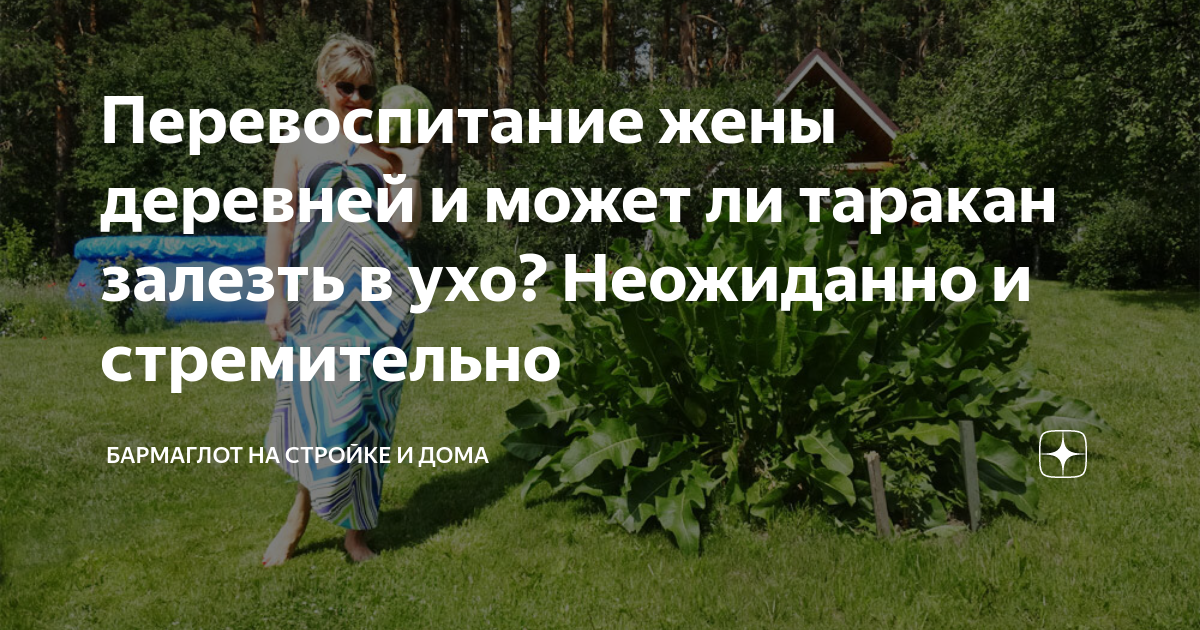 может ли домашний таракан залезть в ухо