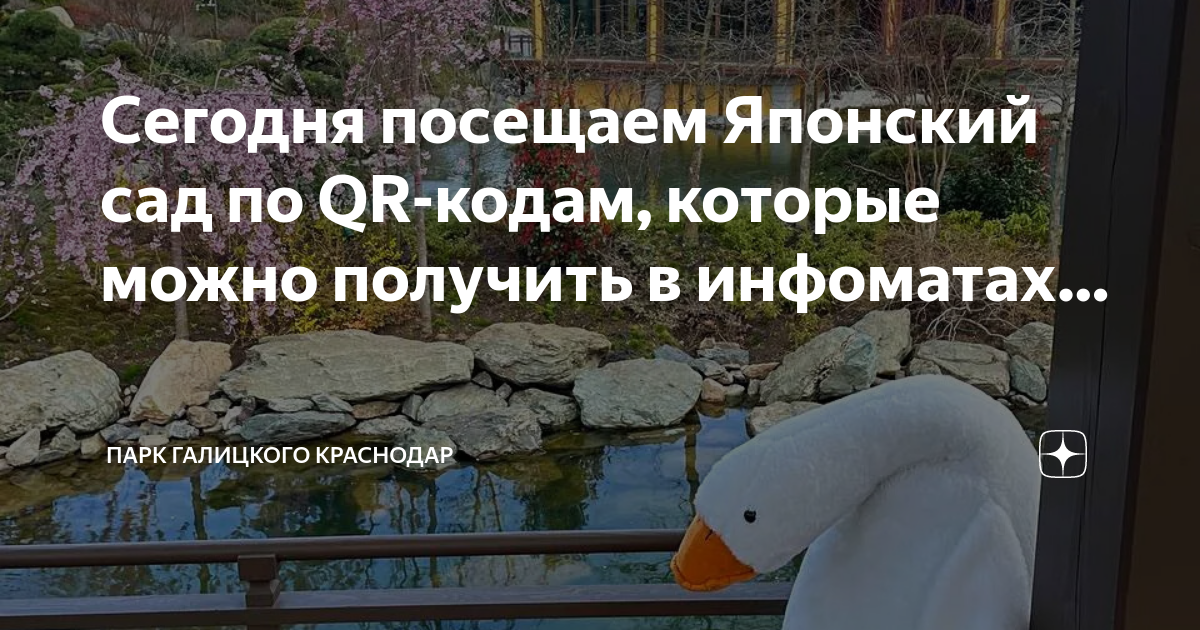 Qr код парк галицкого. Краснодарский парк японский сад. Японский сад в парке Краснодар. Парк Галицкого японский сад. Парк Галицкого в Краснодаре японский сад.