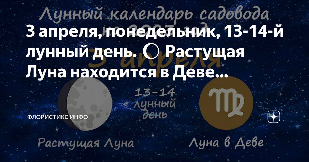 3 ноября лунный день
