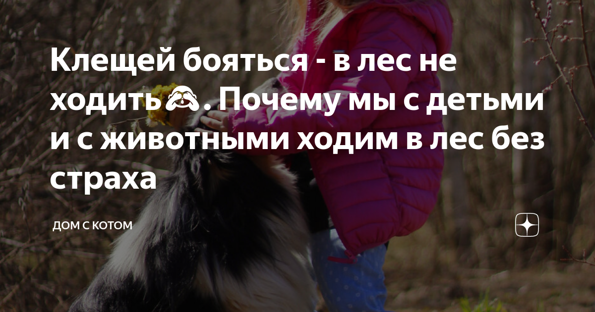 Клещей бояться - в лес не ходить??. Почему мы с детьми и с животными ...