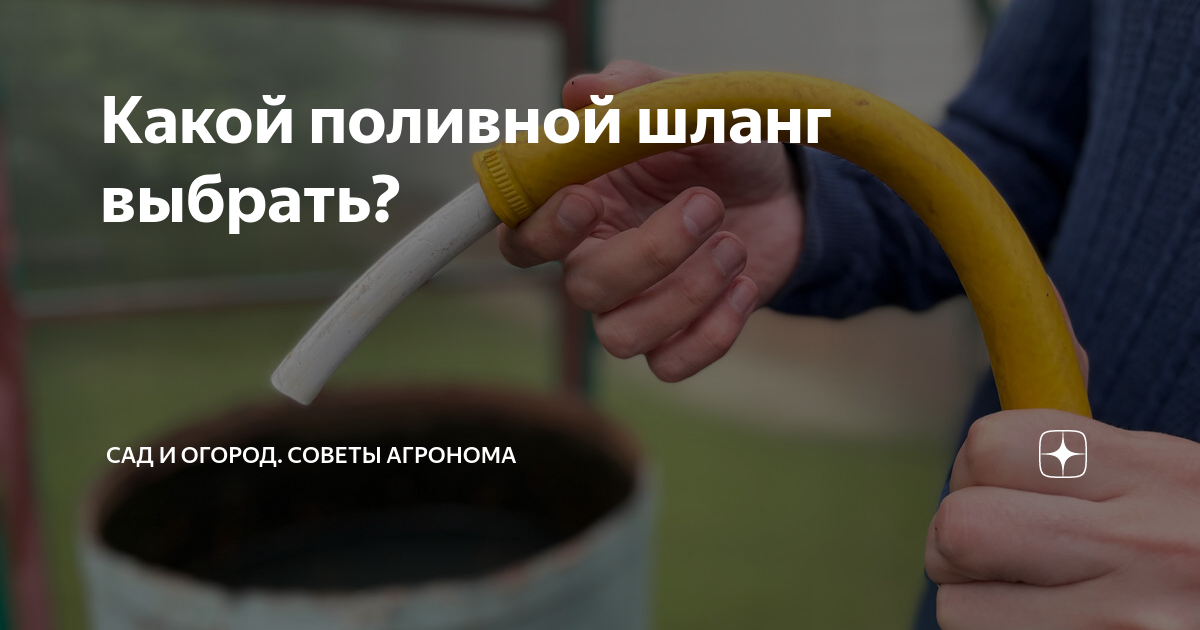 Какой поливной шланг выбрать? | Сад и огород. Советы агронома | Дзен