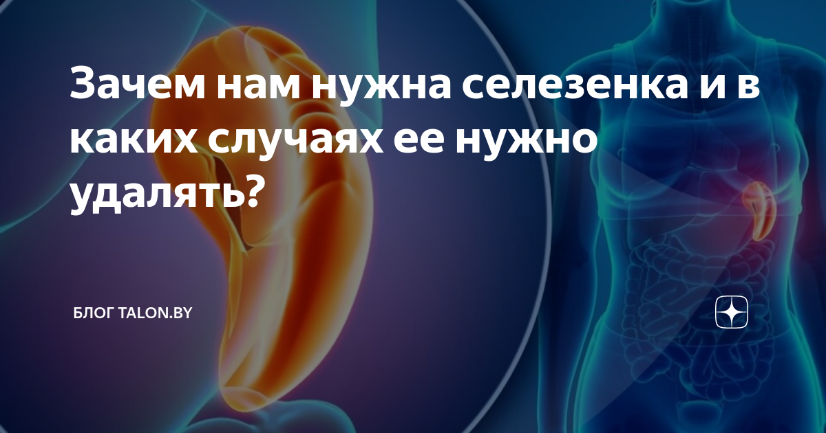 Новообразования селезенки (опухоли селезенки, neoplasms, spleen tumors)