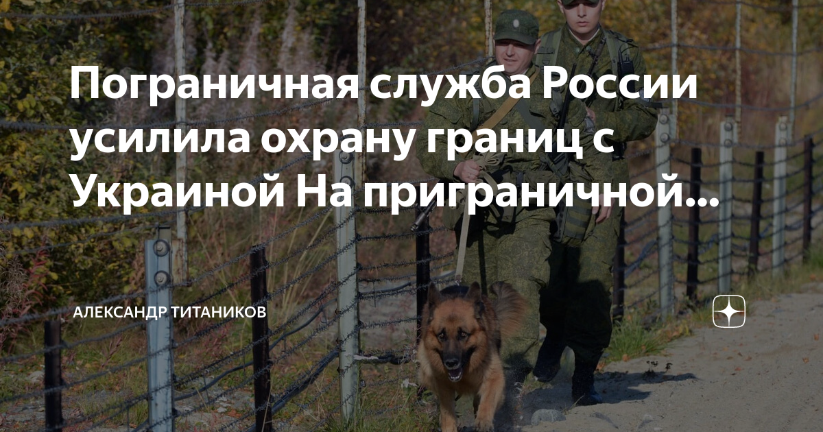 охрана границы. охрана границы. пограничные войска. он границу охраняет чужака не пропускает. пограничники украины.