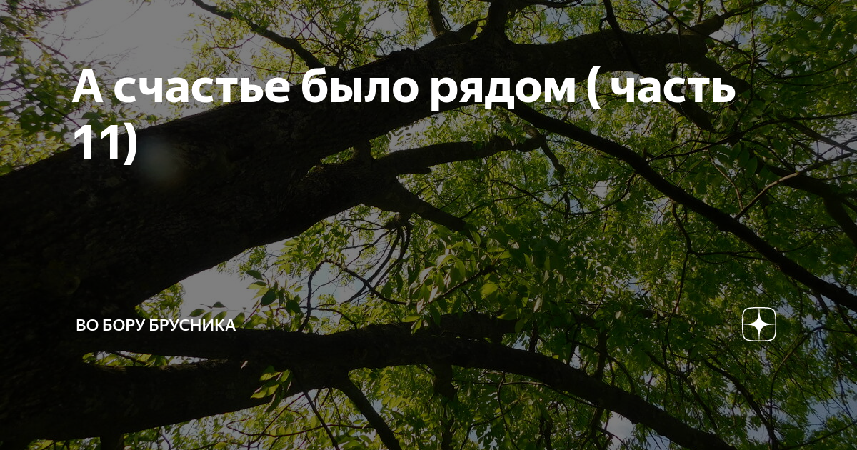 Черная береза Черепаново.