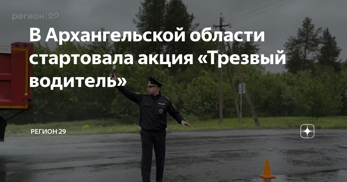 Трезвый водитель кто рулит