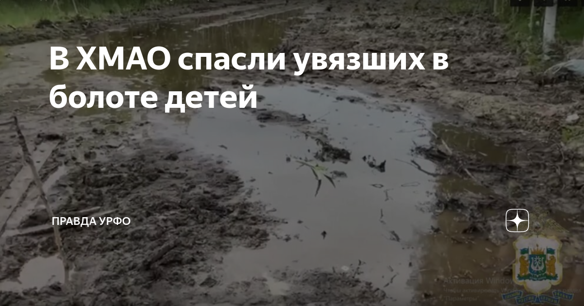 Спас тонущего в болоте