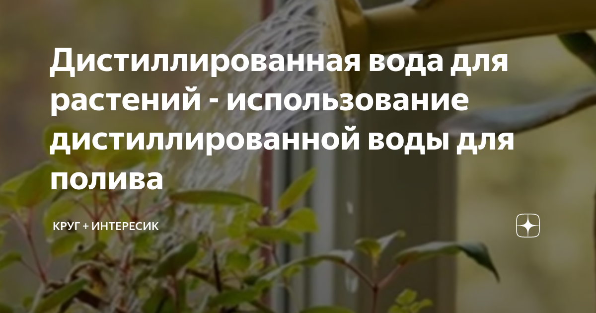 Дистиллированная вода для растений - использование дистиллированной ...