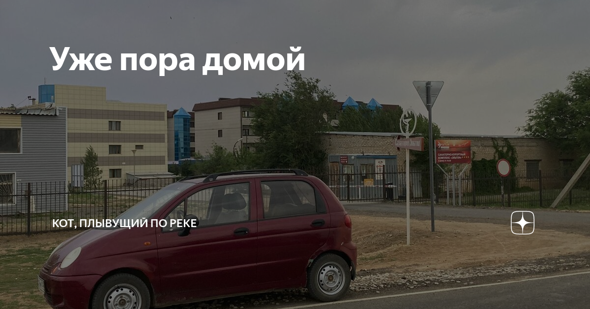 Уже пора домой | Кот, плывущий по реке | Дзен