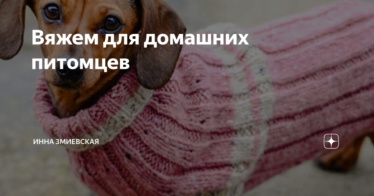 Виды свитеров для собак